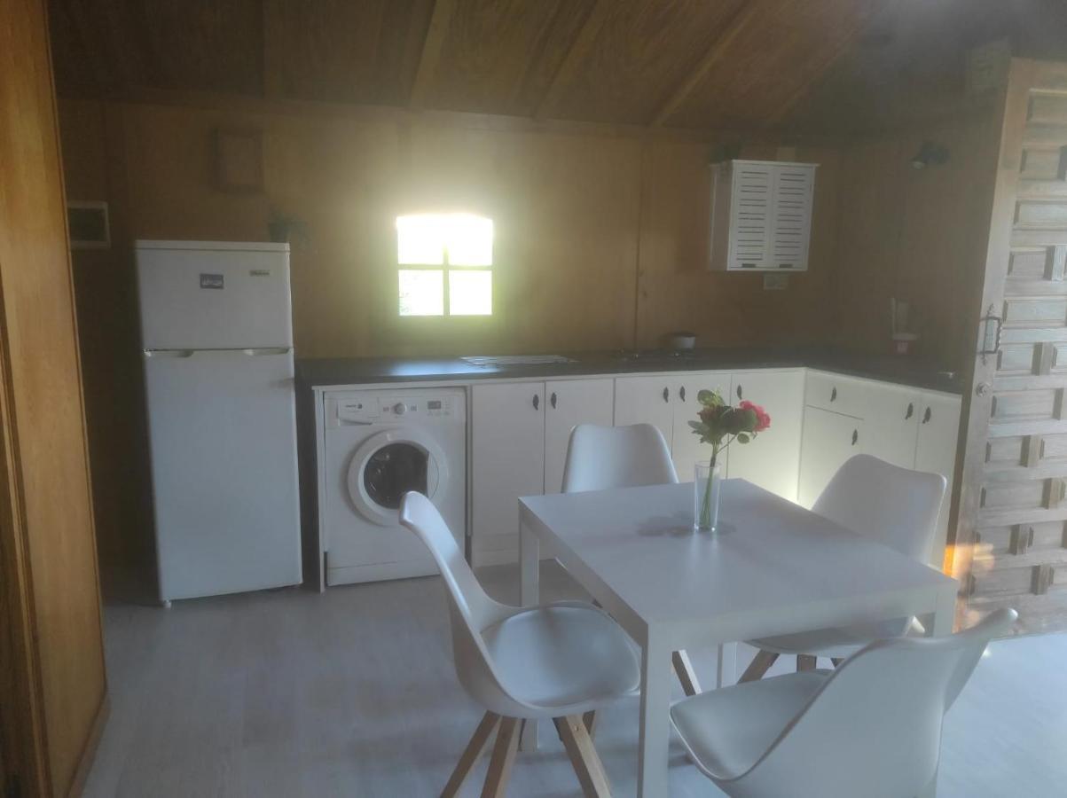 Apartment Rosa De La Contrera *